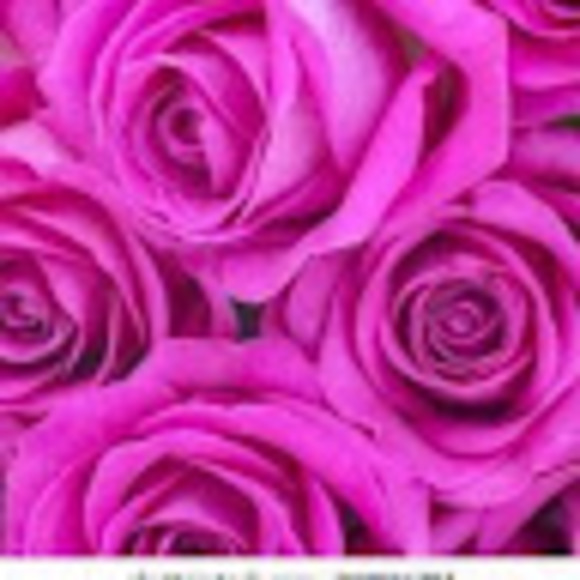 Meet your Posher, Liora - Picture 1 of 1